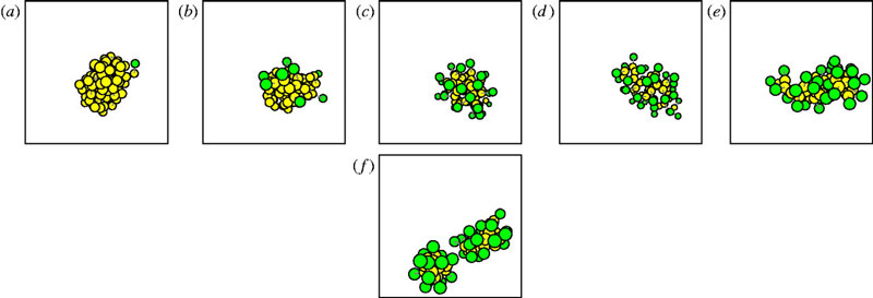 NANOCELL