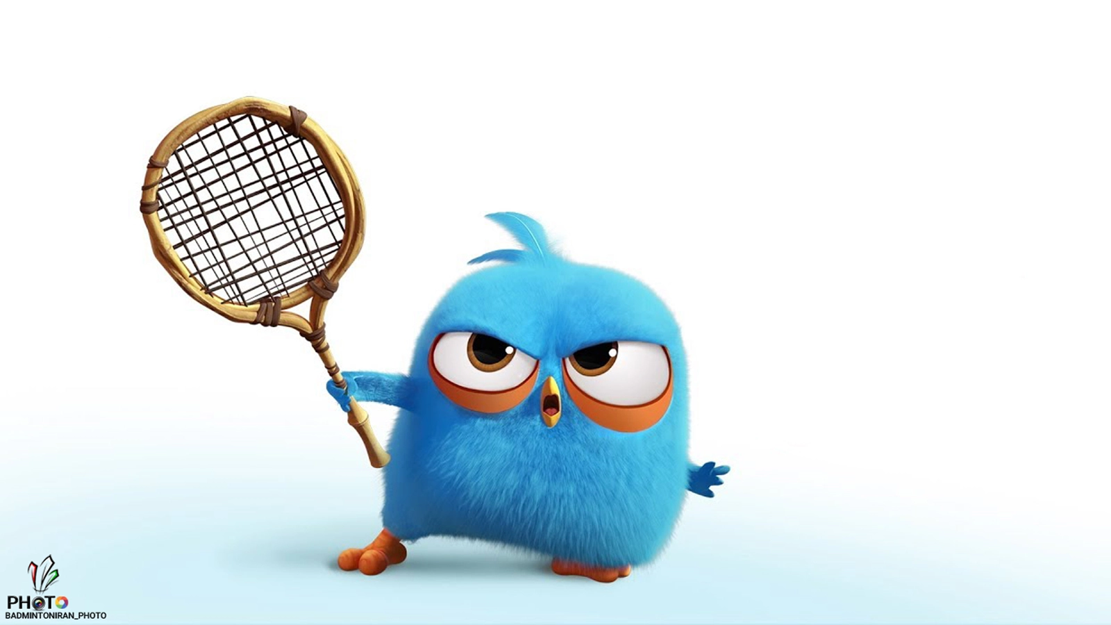 Angry-Birds-Blues-1600x900
